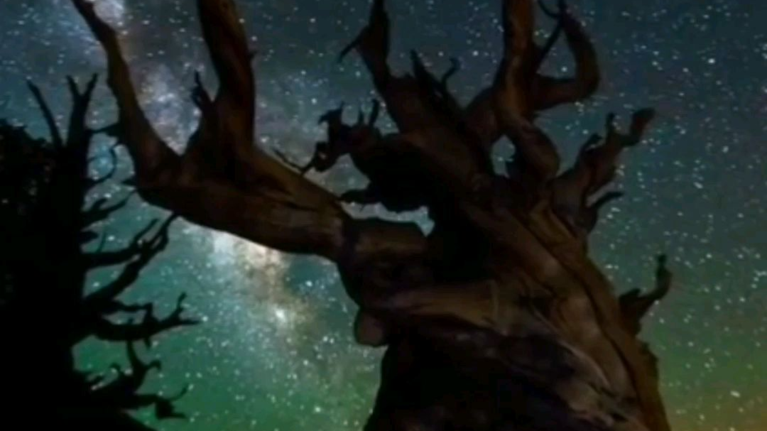 我想对你说:你就是我的星辰与大海️